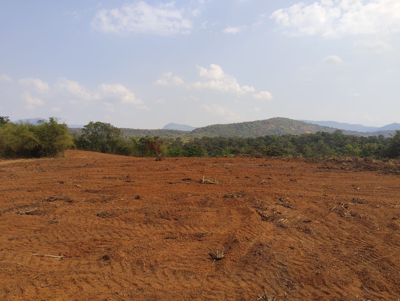 Cleared land plot in the Dodamarg region, ready for a transaction